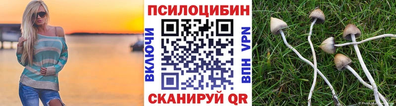 Галлюциногенные грибы Psilocybine cubensis  купить   Таштагол 